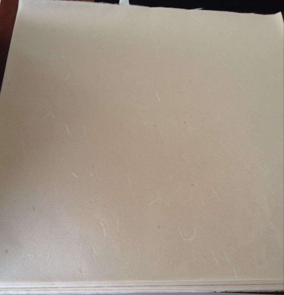 ��ɫ������ֽ