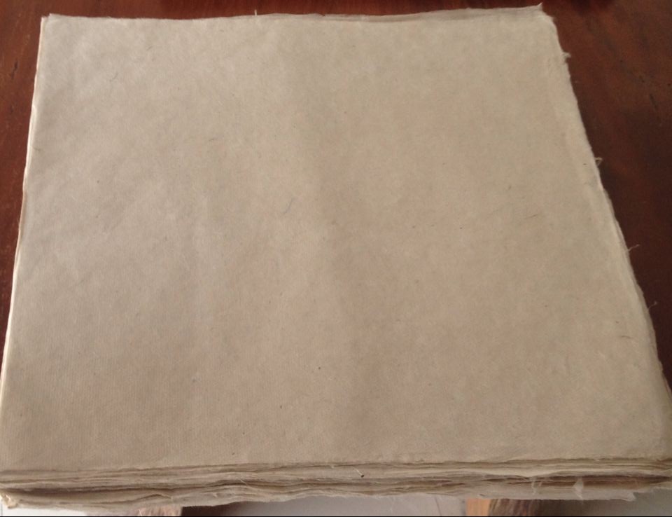 ������ֽ