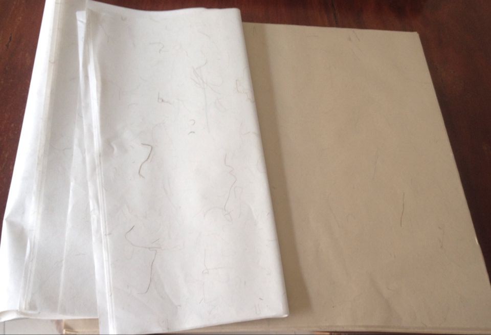 ������ֽ