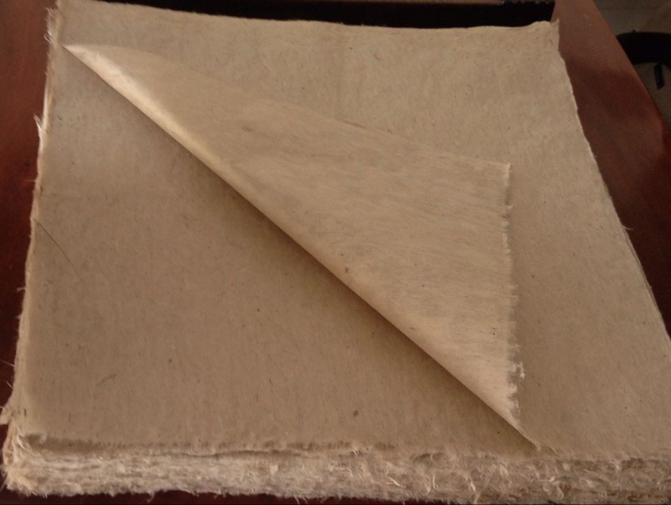 ���ֹ���ֽ